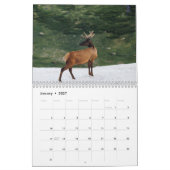 Rehkalender 2023 kalender (Jan 2027)