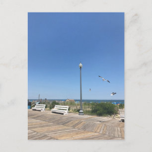 RehoBeide Beach Boardwalk Seagulls Sky Ocean Foto Postkarte