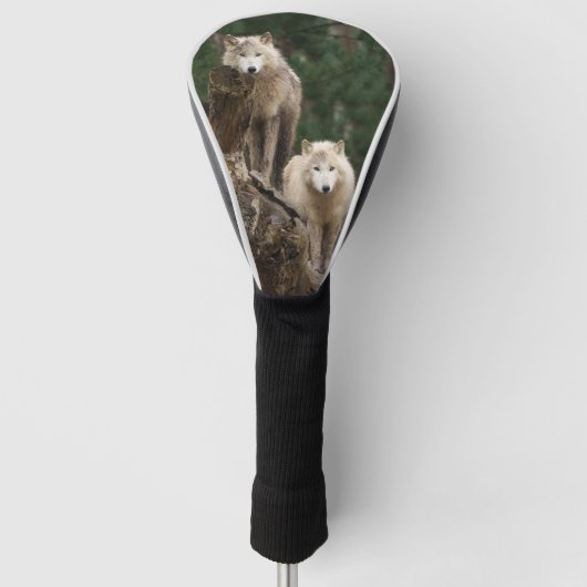 Reich der weißen Wölfe Golf Headcover (Vorderseite)