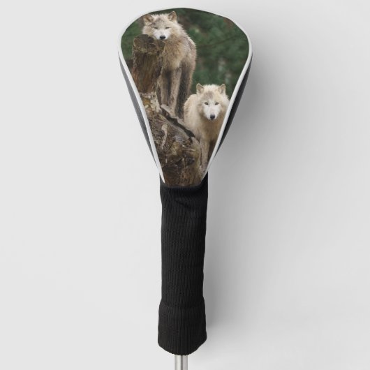 Reich der Weißen Wölfe Golf Headcover (Vorderseite)