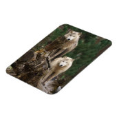 Reich der weißen Wölfe Magnet (Linke Seite)