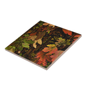 REICH, ERDTONFARBEN/ HERBSTLAUBE/DIG. MANIP. FLIESE