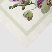 Reiche blassgelbe Orchideen Papiertücher Seidenpapier (Ausschnitt)