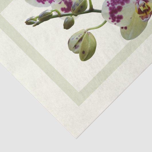 Reiche blassgelbe Orchideen Papiertücher Seidenpapier (Ausschnitt)