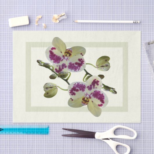 Reiche blassgelbe Orchideen Papiertücher Seidenpapier (Handwerk)