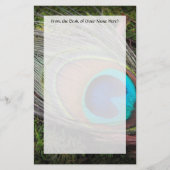 Reiche, elegante Pfau-Feder-Fotografie Briefpapier (Vorderseite)