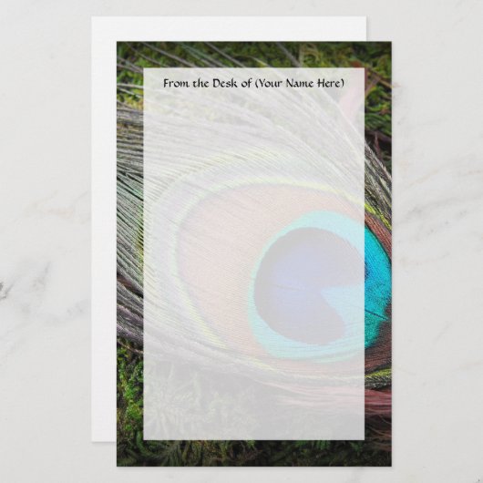 Reiche, elegante Pfau-Feder-Fotografie Briefpapier (Vorne/Hinten)