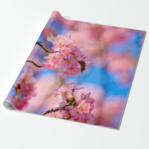 Reiche und süße Sakura-Blume an einem sonnigen Tag Geschenkpapier