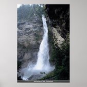Reichenbach Falls, Schweiz Poster (Vorne)