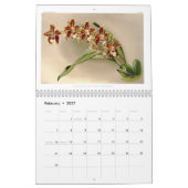 Reichenbachia Orchideen 2015 Kalender (Feb 2027)