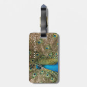 Reiches FarbFoto des Pfau-Vogels Gepäckanhänger (Rückseite vertikal)