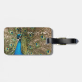 Reiches FarbFoto des Pfau-Vogels Gepäckanhänger (Rückseite horizontal)