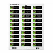 Reichhaltiges Landschaftsbild und Pflegegeschäft (Vorne)