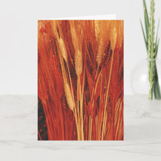 Reichlicher Segen Feiertagskarte