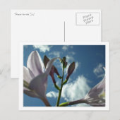"Reichweite für den Himmel" Postkarte (Vorne/Hinten)
