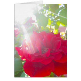 Reichweite für den Sun (5)