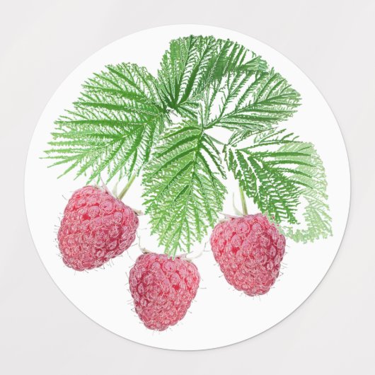 Reif, Beeren, Himbeeren Etiketten (Design 1)