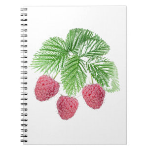 Reif, Beeren, Himbeeren Notizblock