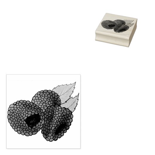 Reif Fresh Summer Red Himbeeren Früchte Berry Gummistempel (Stempel)