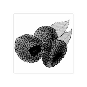 Reif Fresh Summer Red Himbeeren Früchte Berry Gummistempel