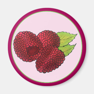 Reif Himbeere Rote Himbeeren Berry Frucht Druck Magnet