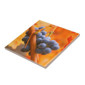 Reif im Weinberg Fliese (Seite)