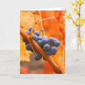 Reif im Weinberg Karte (Gelbe Blume)