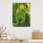 Reifbananen Poster (Küche)