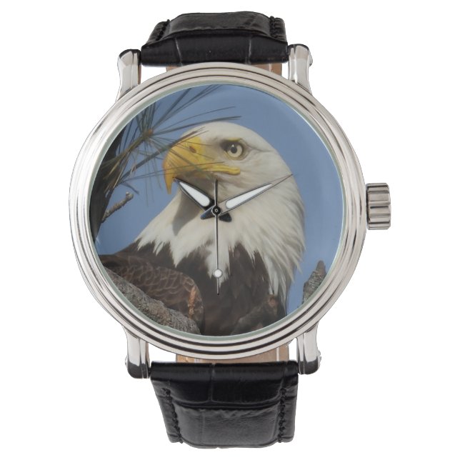 Reife Bald Adler Naher Kopf Armbanduhr (Vorderseite)