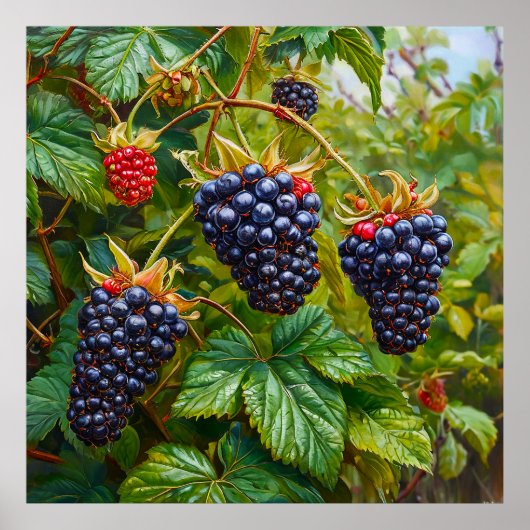 Reife BlackBerry gegen Bush Poster (Vorne)