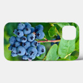 Reife Blaubeeren für Bush Case-Mate iPhone Hülle (Rückseite (Horizontal))