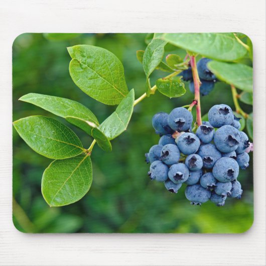 Reife Blaubeeren für Bush Mousepad (Vorne)
