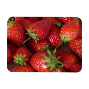 Reife Erdbeeren Magnet