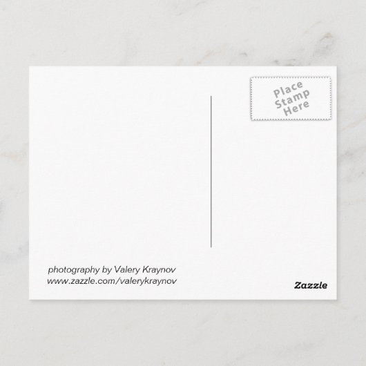 reife Erdbeeren Postkarte (Rückseite)