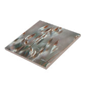 Reife Hafer (Avena Sativa) Nah auf. Ceres, Boland Fliese (Seite)