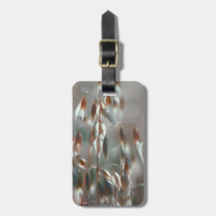 Reife Hafer (Avena Sativa) Nah auf. Ceres, Boland Gepäckanhänger