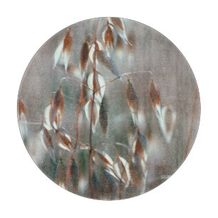 Reife Hafer (Avena Sativa) Nah auf. Ceres, Boland Schneidebrett