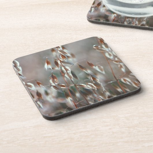 Reife Hafer (Avena Sativa) Nah auf. Ceres, Boland Untersetzer (Linke Seite)