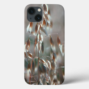 Reife Hafer (Avena Sativa) Nah. Ceres, Boland iPhone 13 Hülle