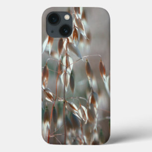 Reife Hafer (Avena Sativa) Nah. Ceres, Boland Case-Mate iPhone Hülle