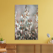 Reife Hafer (Avena Sativa) Nah. Ceres, Boland Leinwanddruck (Insitu (Wohnzimmer))