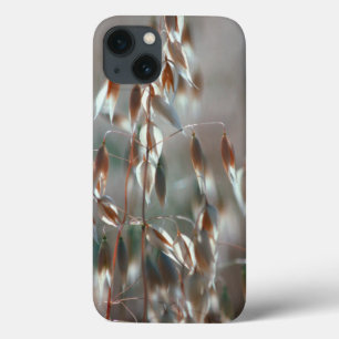 Reife Haferkörner (Avena Sativa) Nahaufnahme. Cere Case-Mate iPhone Hülle