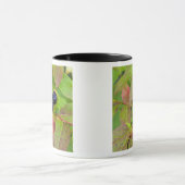 Reife Heidelbeeren im Flathead National Tasse (Zentrum)