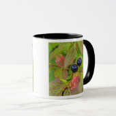 Reife Heidelbeeren im Flathead National Tasse (VorderseiteRechts)