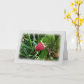 Reife Himbeere Karte (Gelbe Blume)