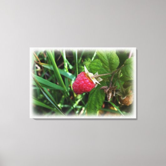 Reife Himbeere Leinwanddruck (Vorderseite)