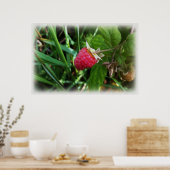 Reife Himbeere Poster (Küche)
