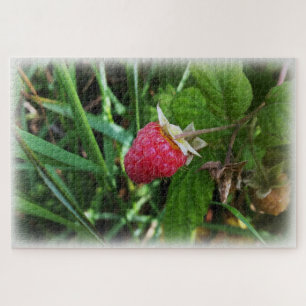 Reife Himbeere Puzzle