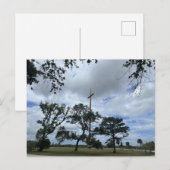 Reife Lebenseichen Postkarte (Vorne/Hinten)
