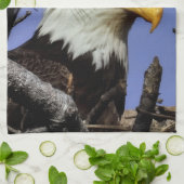 Reife männliche Adler Naher Kopf Shot Geschirrtuch (Gefaltet)